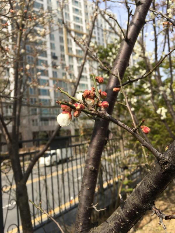 컨텐츠파일