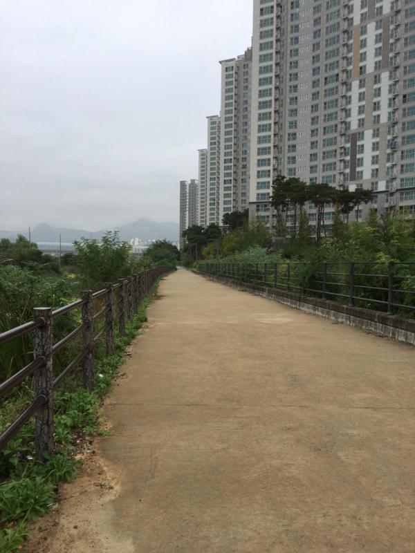 컨텐츠파일
