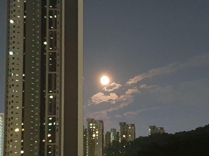 컨텐츠파일