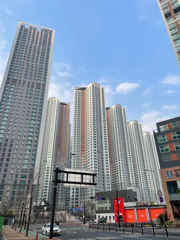 컨텐츠파일