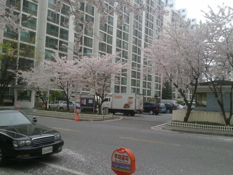 루리안