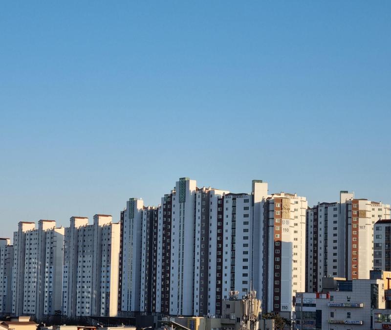 컨텐츠파일
