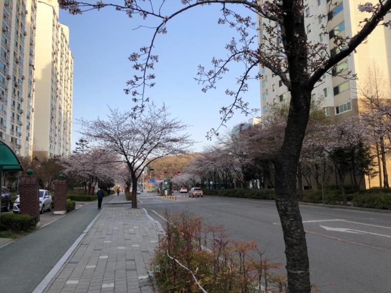 펭수