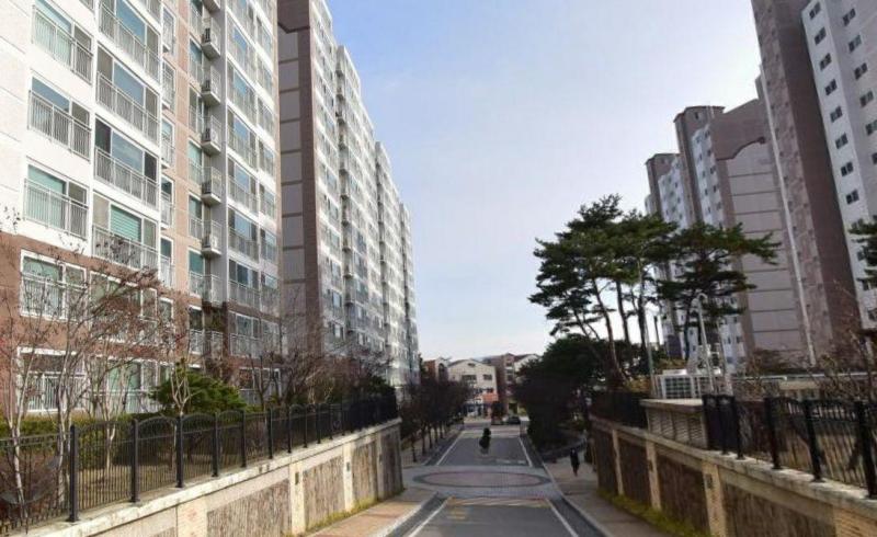 컨텐츠파일