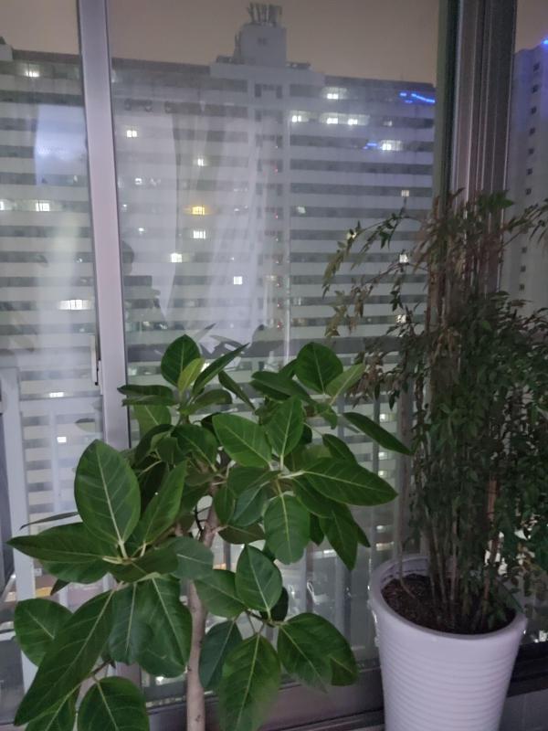 컨텐츠파일