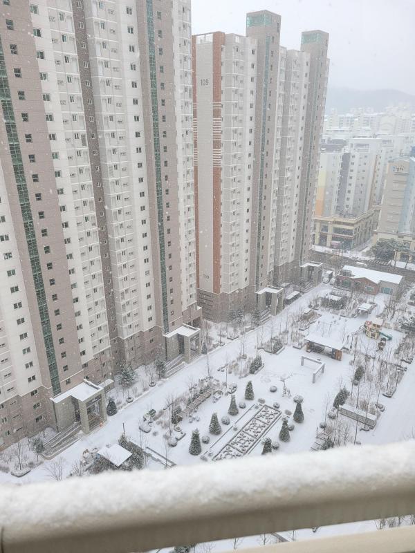 컨텐츠파일