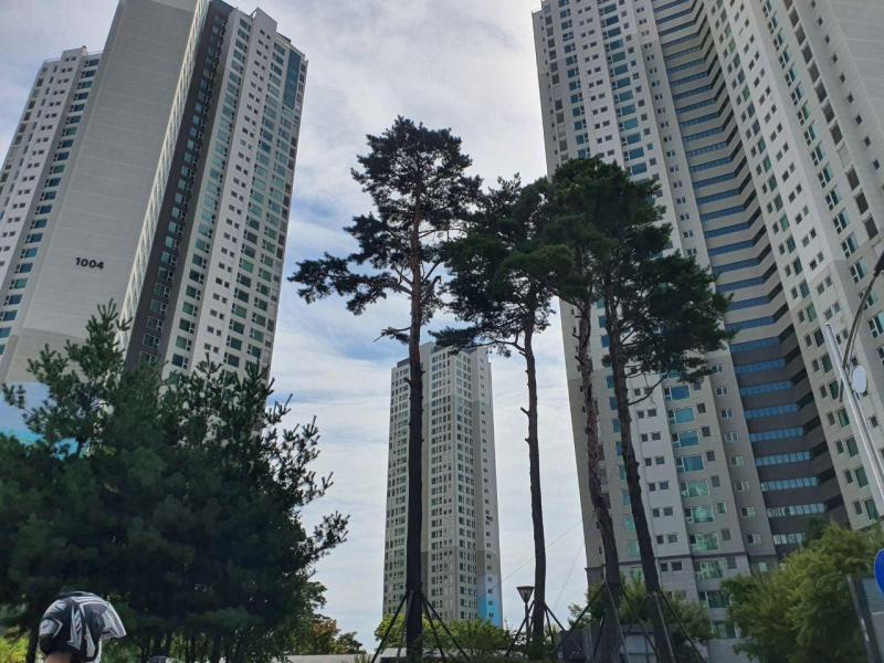 컨텐츠파일