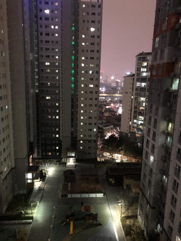유민주