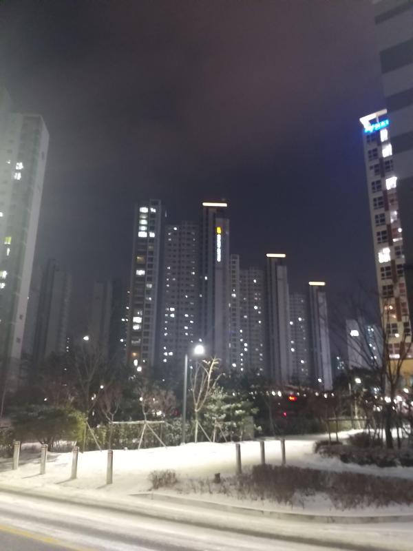 조돌임