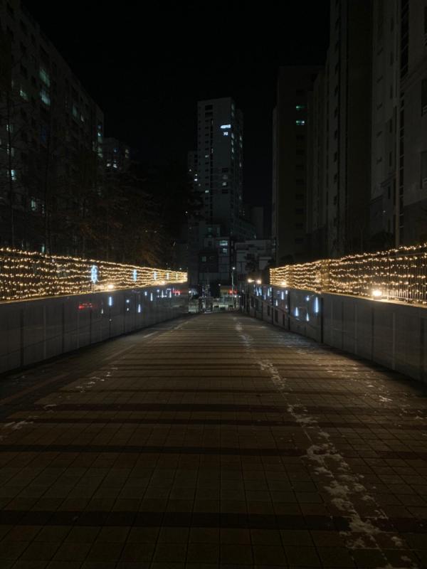 컨텐츠파일