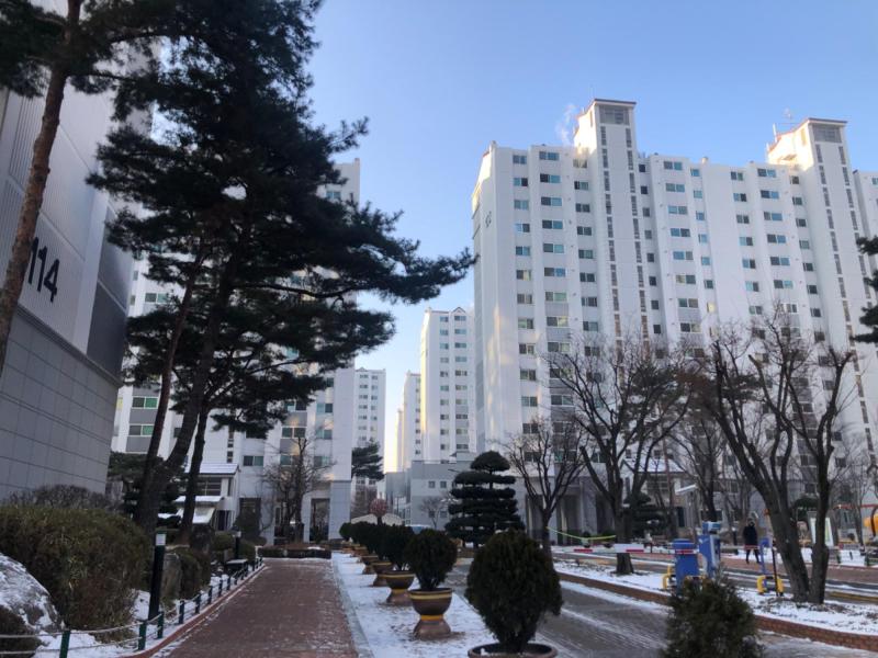 컨텐츠파일