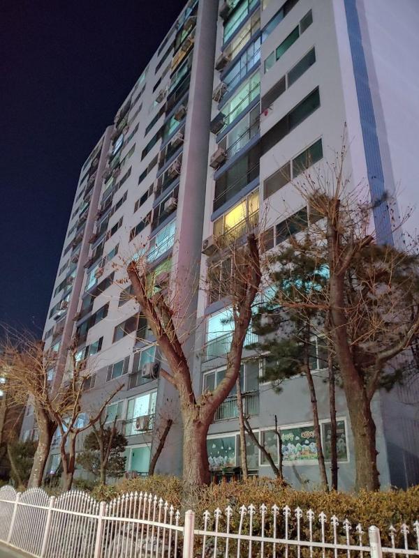 컨텐츠파일