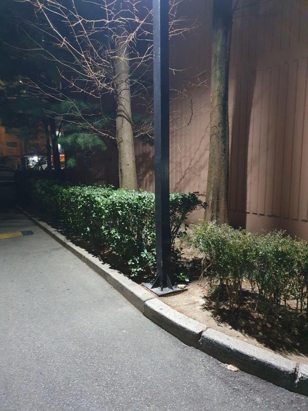 컨텐츠파일