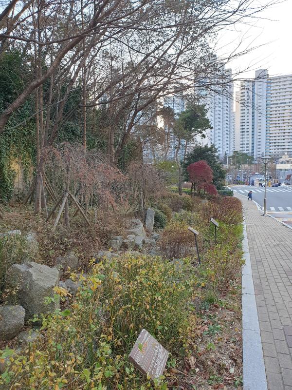컨텐츠파일