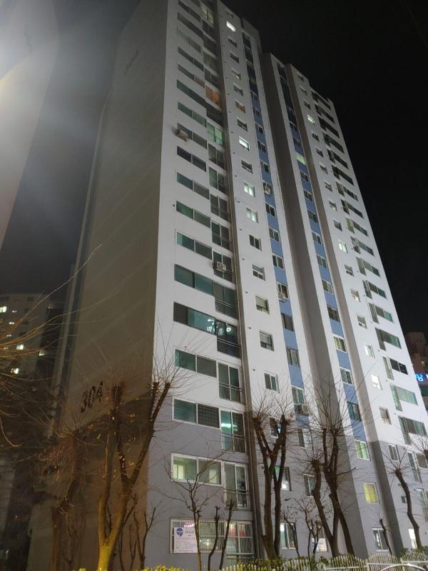 컨텐츠파일