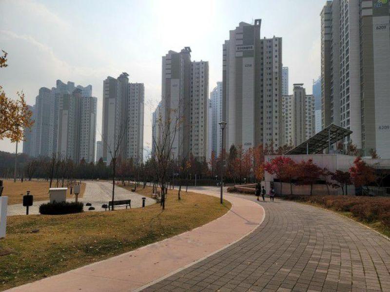 콜라