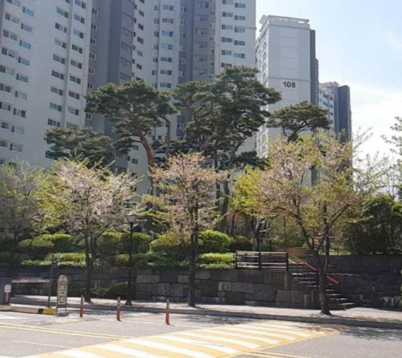 누리세상72