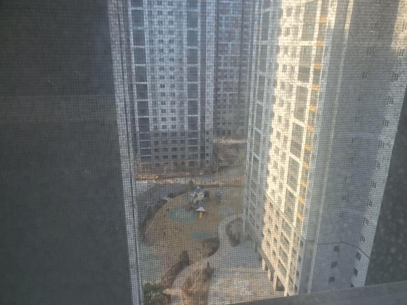 컨텐츠파일