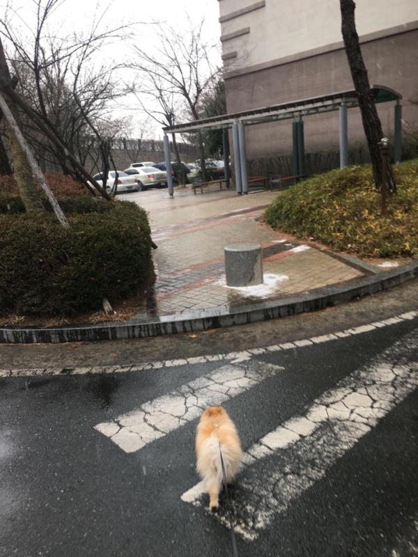 컨텐츠파일