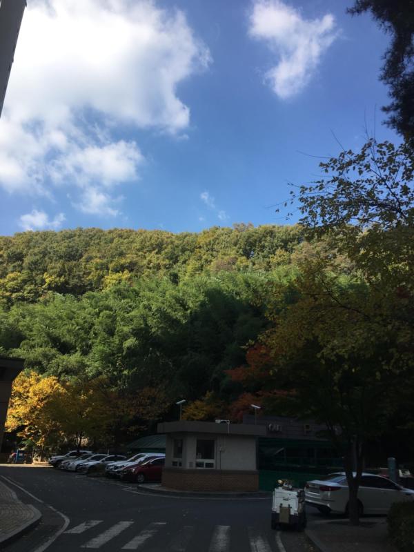 컨텐츠파일