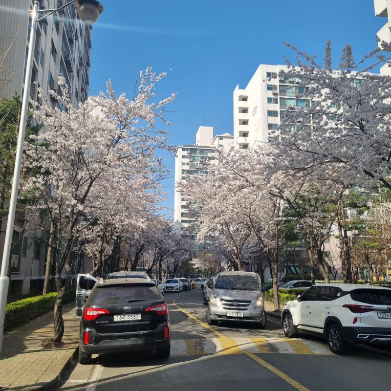 컨텐츠파일