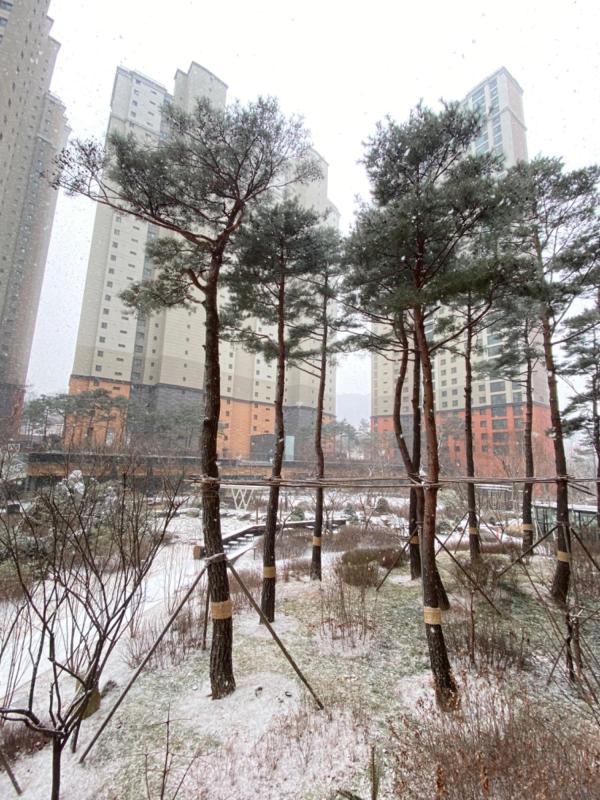 컨텐츠파일