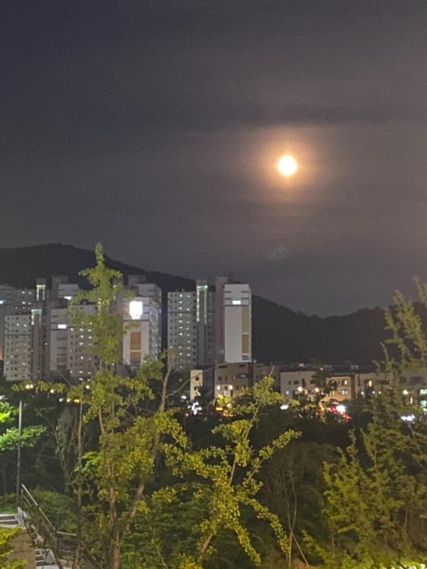 컨텐츠파일