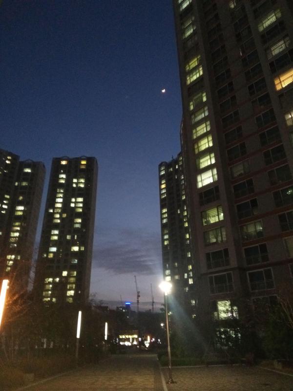 봄이봄봄