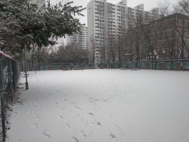 컨텐츠파일