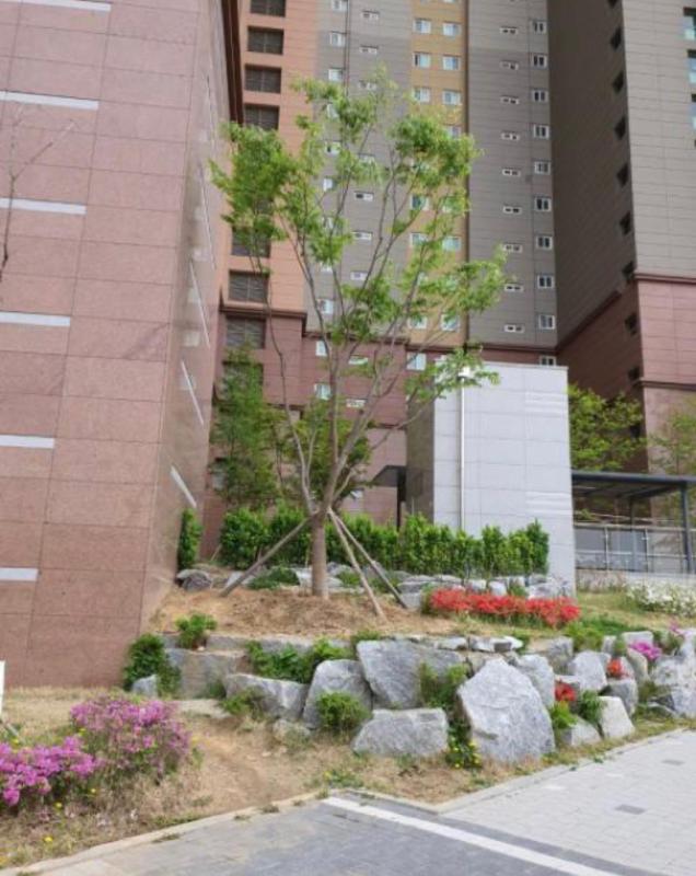 컨텐츠파일