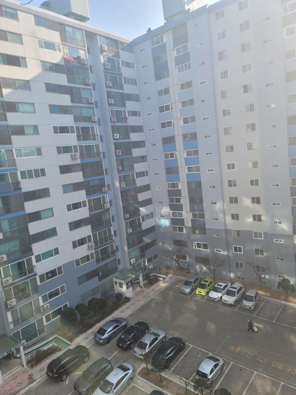 컨텐츠파일