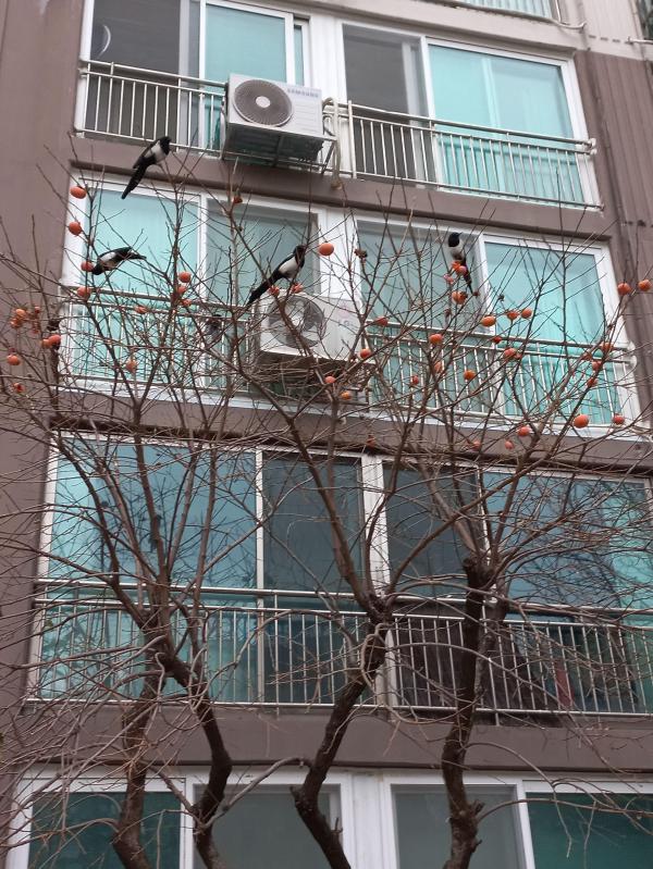 컨텐츠파일