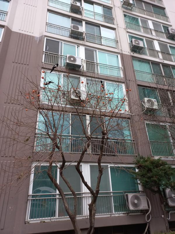 컨텐츠파일