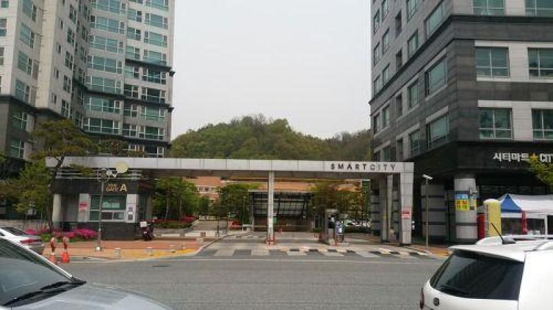 김선도