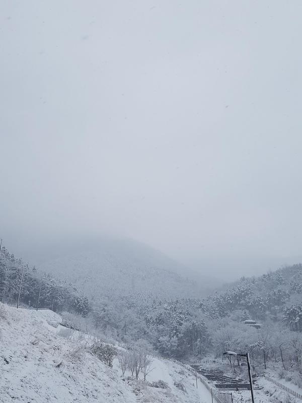 컨텐츠파일