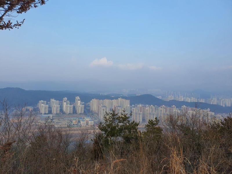 컨텐츠파일