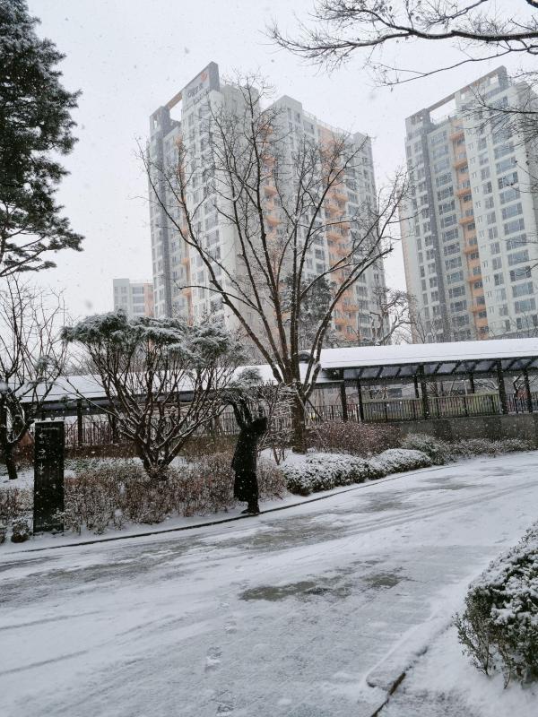 딸기왕비