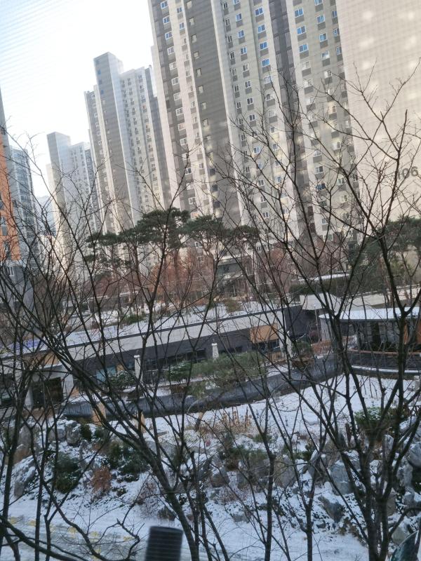 딸기왕비