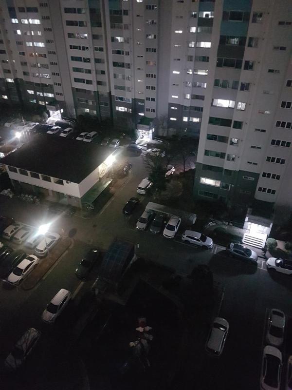 컨텐츠파일