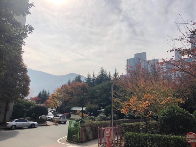 컨텐츠파일
