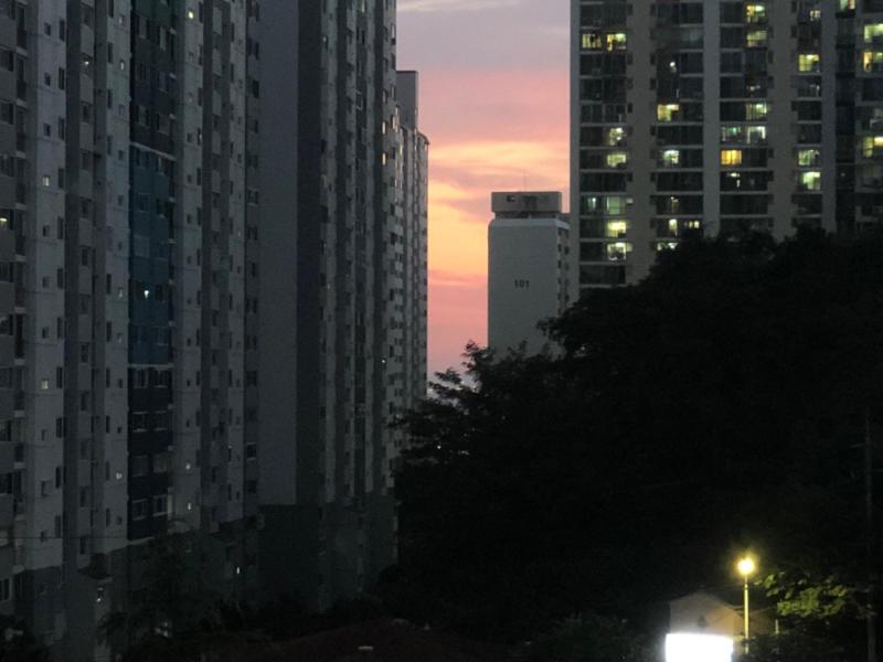 컨텐츠파일