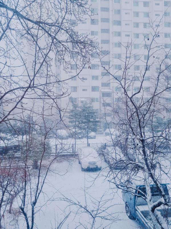 컨텐츠파일