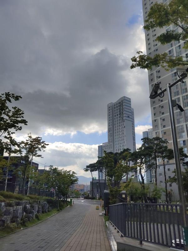 컨텐츠파일