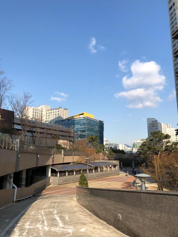 컨텐츠파일