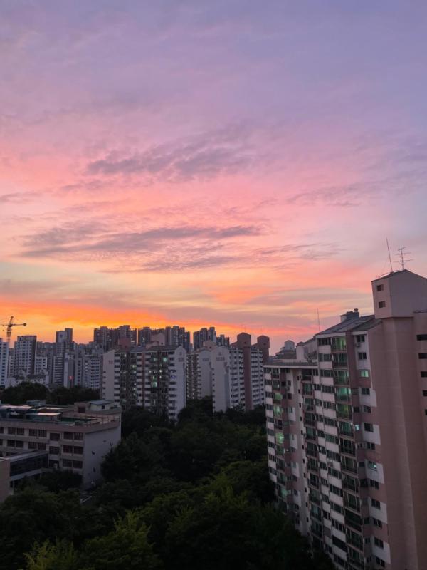 컨텐츠파일