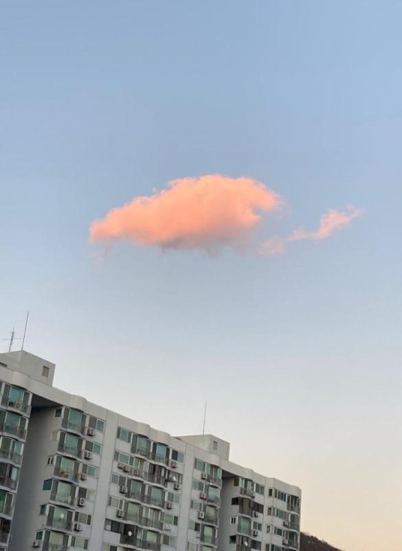 컨텐츠파일
