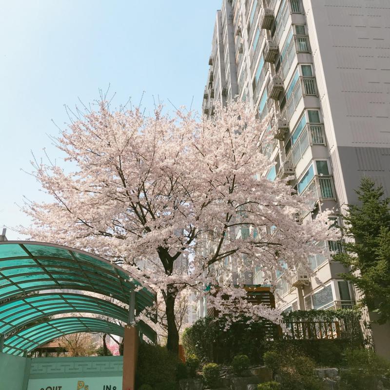 컨텐츠파일