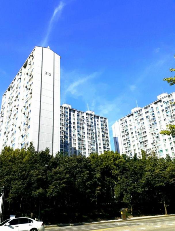 컨텐츠파일