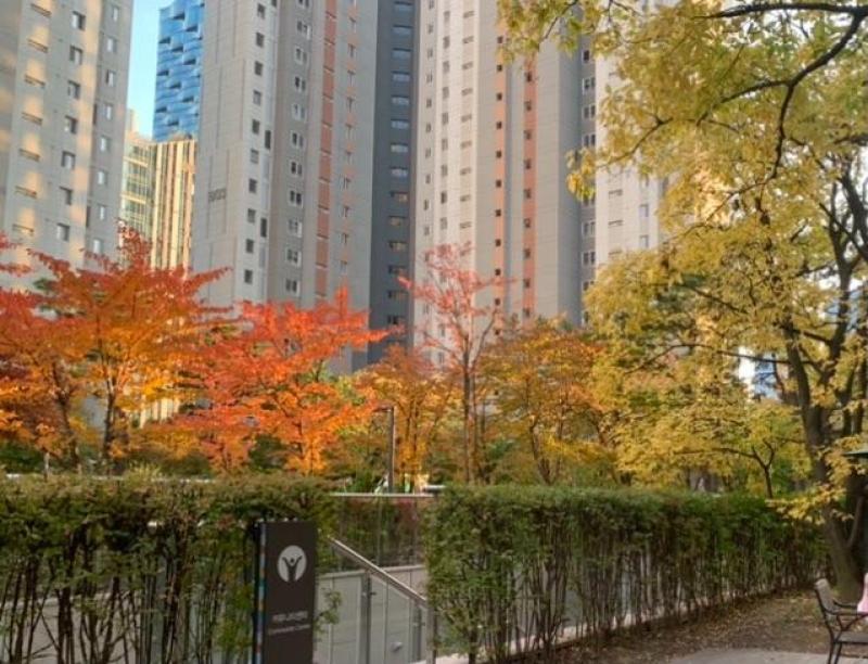 컨텐츠파일