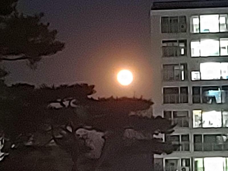 컨텐츠파일